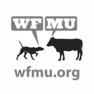 WMFU FM 91.1 ラジオ